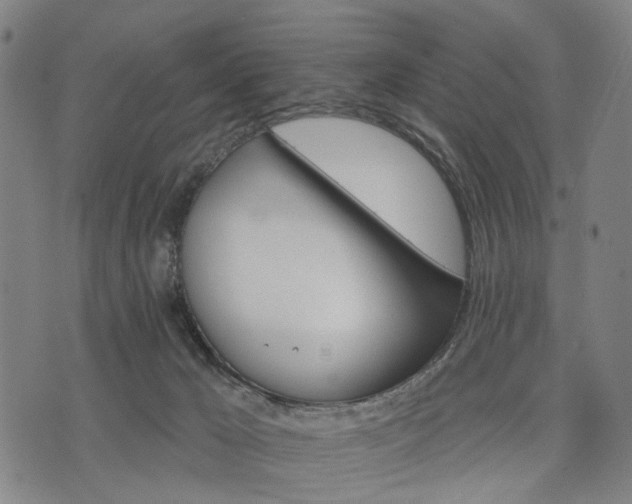 X0000074300029200609011458