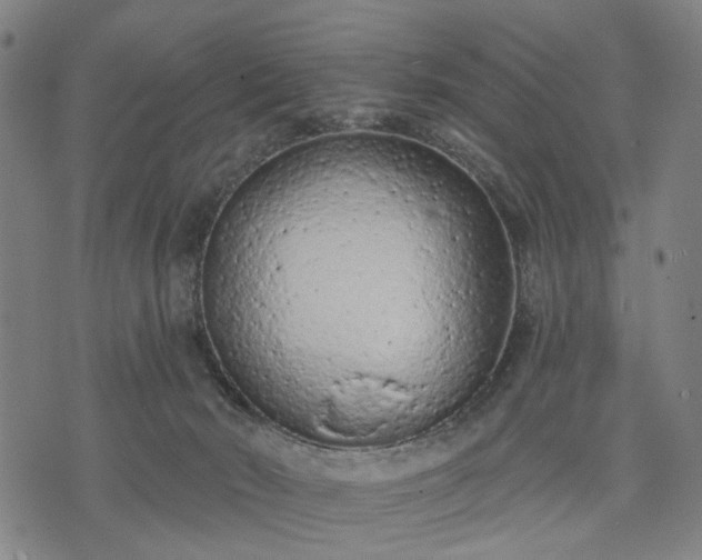 X0000074300030200609011458