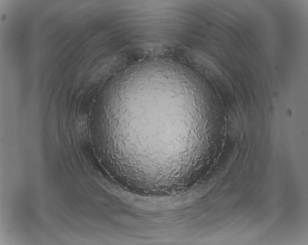 X0000074300034200609011458