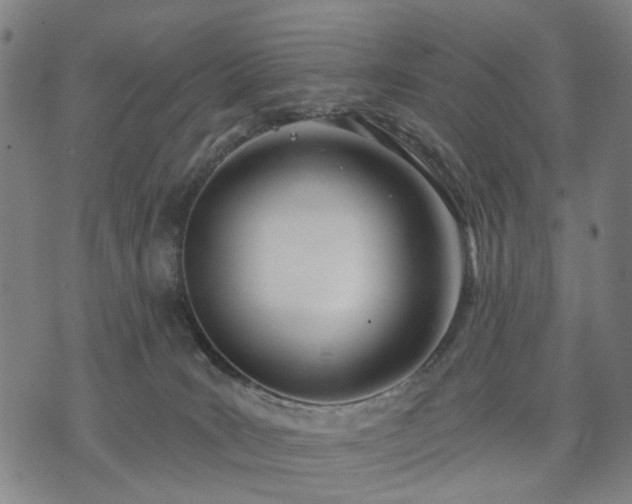 X0000074300035200609011458