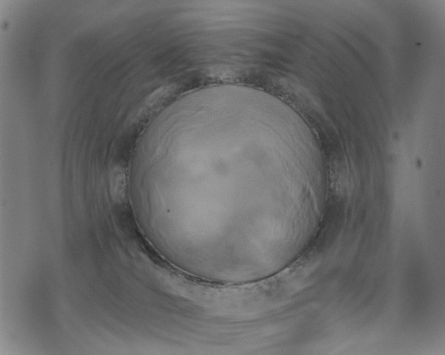 X0000074300036200609011458