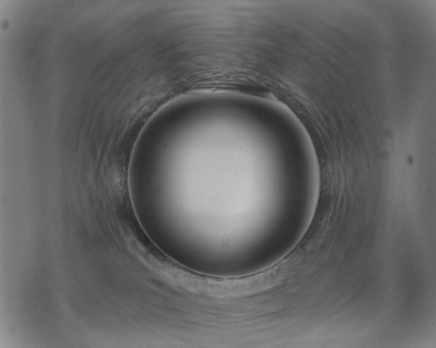 X0000074300039200609011458