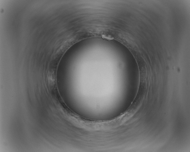 X0000074300040200609011458