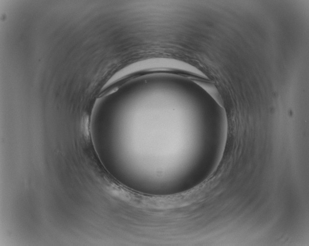 X0000074300041200609011458