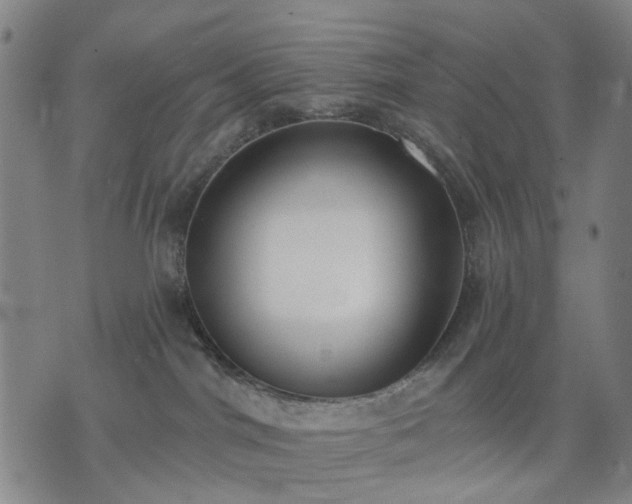 X0000074300044200609011458