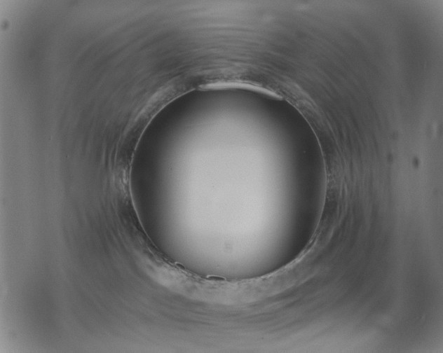 X0000074300045200609011458