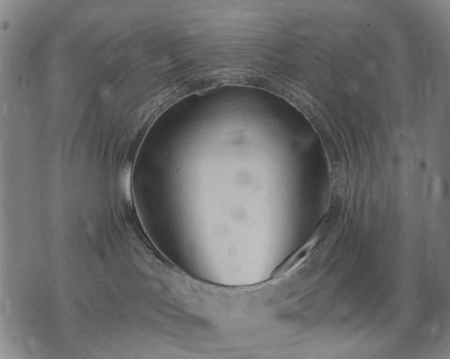 X0000074300047200609011458