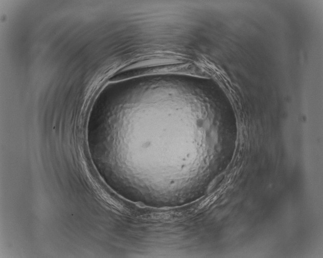 X0000074300049200609011457