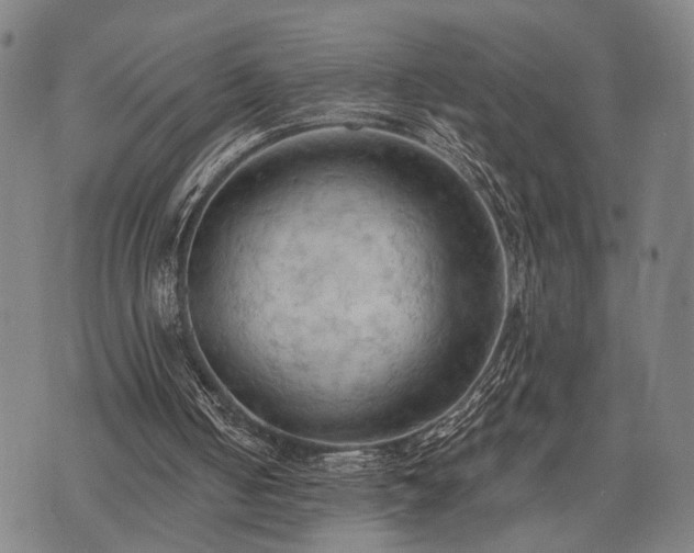 X0000074300050200609011457