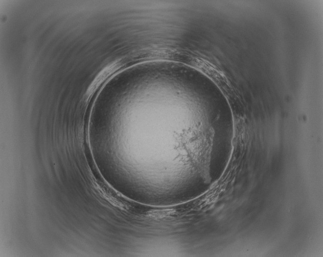 X0000074300051200609011457