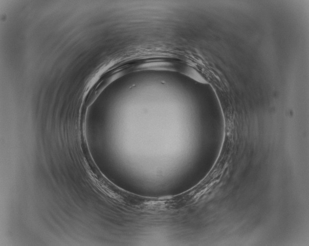 X0000074300052200609011457