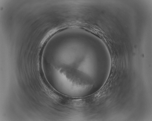 X0000074300054200609011457