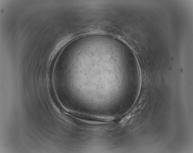 X0000074300055200609011457