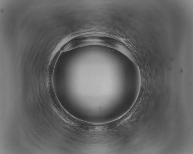 X0000074300056200609011457