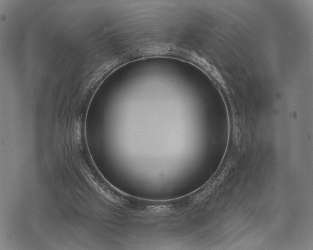 X0000074300057200609011457
