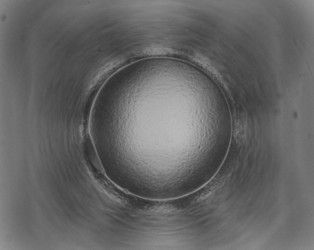 X0000074300063200609011457