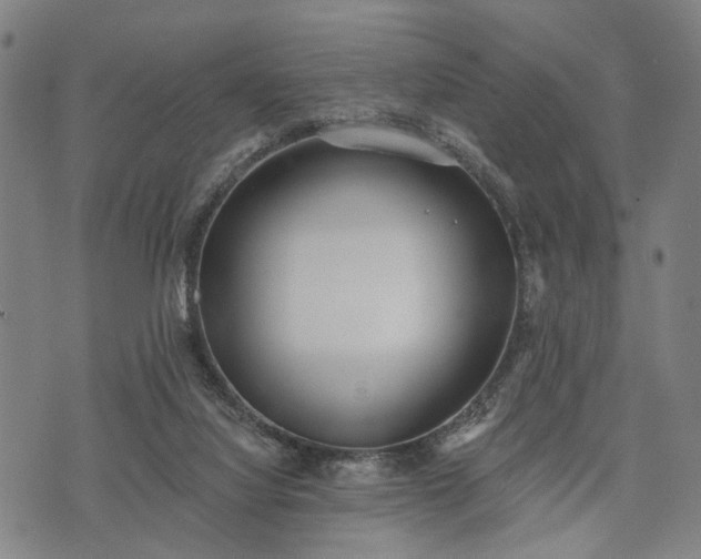 X0000074300068200609011457