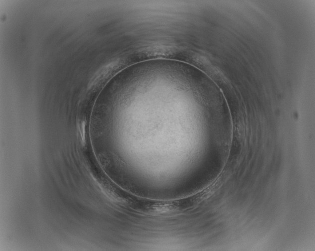 X0000074300070200609011457