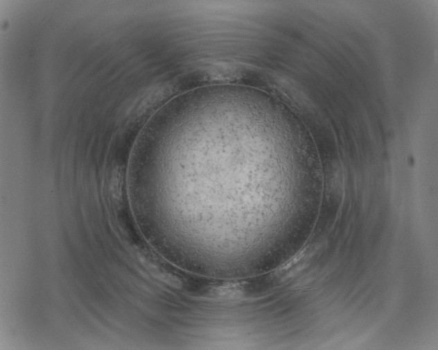 X0000074300078200609011458