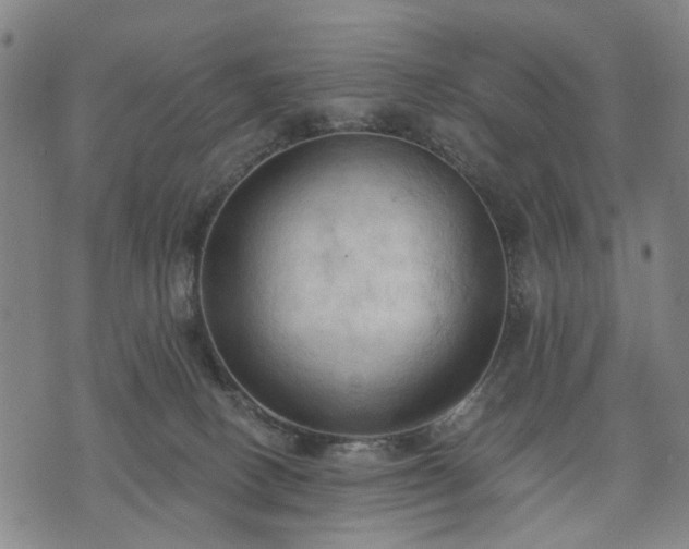 X0000074300082200609011458