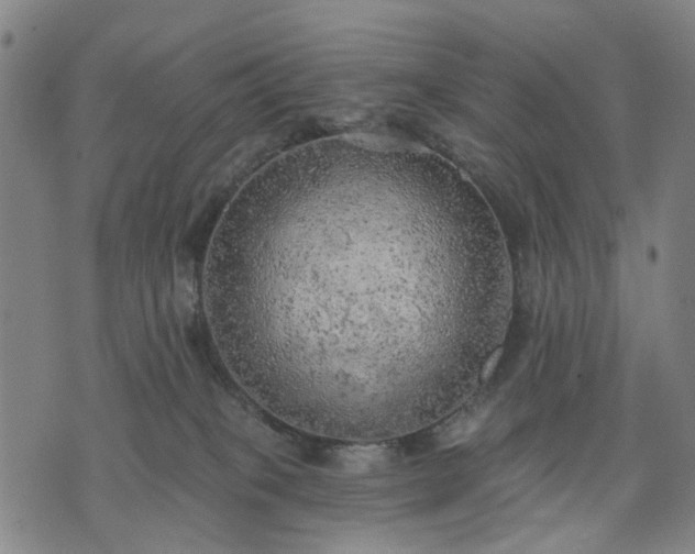 X0000074300085200609011458