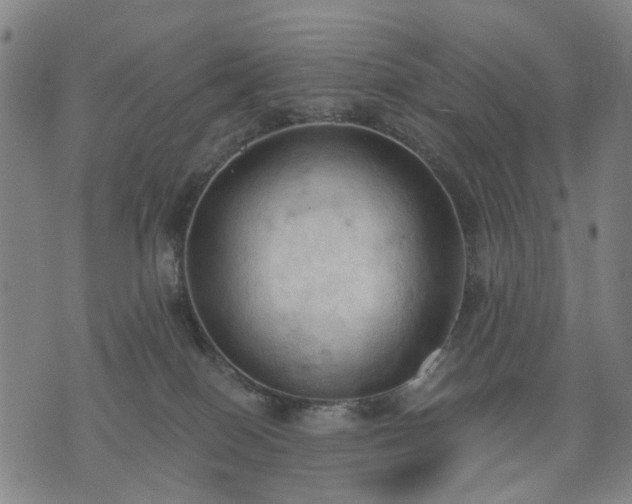 X0000074300086200609011458