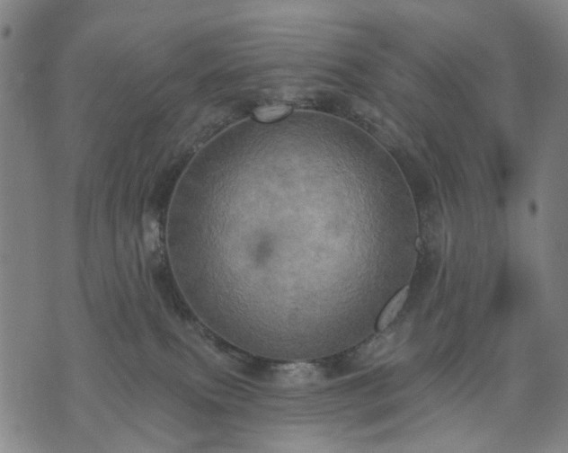 X0000074300087200609011458