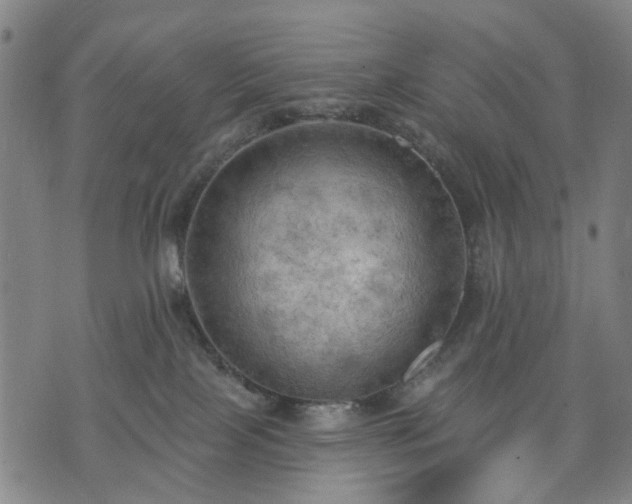 X0000074300089200609011458