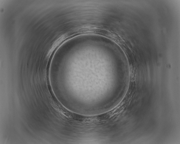 X0000074300099200609011457
