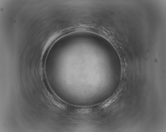 X0000074300102200609011457
