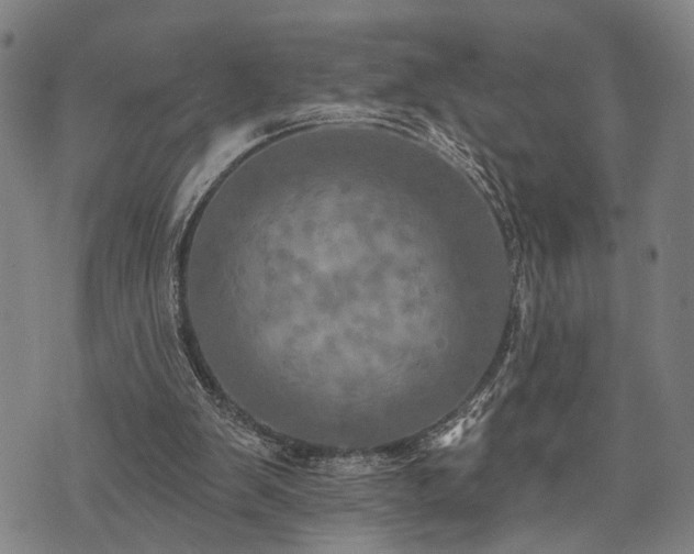 X0000074300103200609011457
