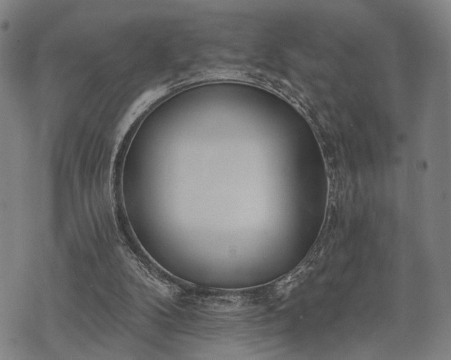 X0000074300104200609011457