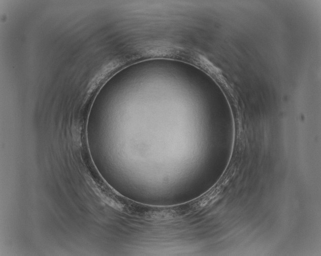 X0000074300106200609011457