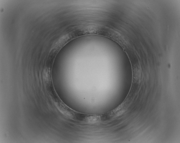 X0000074300126200609011457