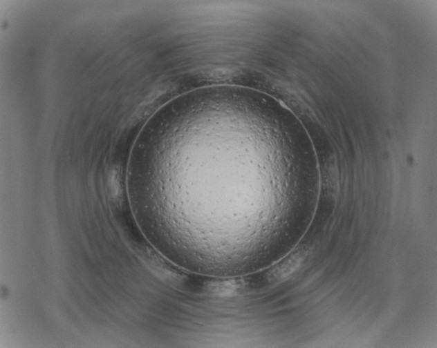 X0000074300131200609011457