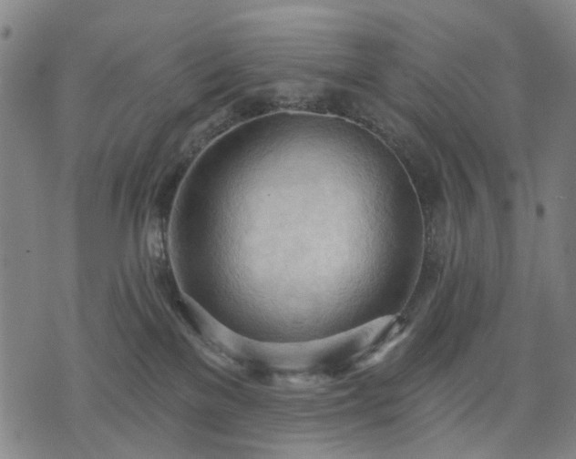 X0000074300137200609011456