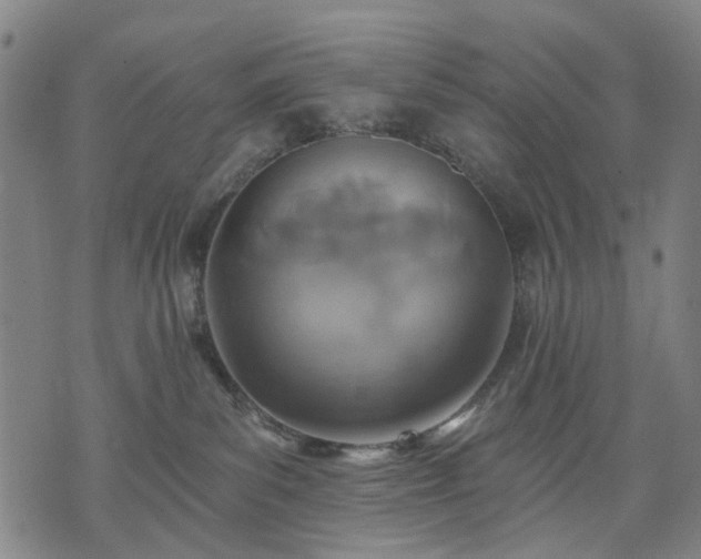 X0000074300139200609011456