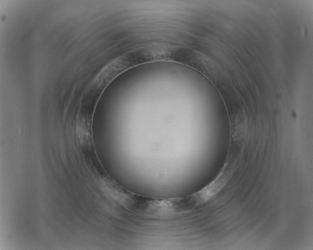 X0000074300140200609011456