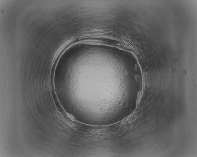 X0000074300147200609011456