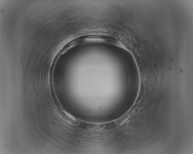 X0000074300148200609011456