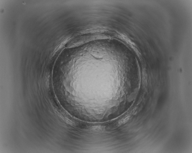 X0000074300153200609011456