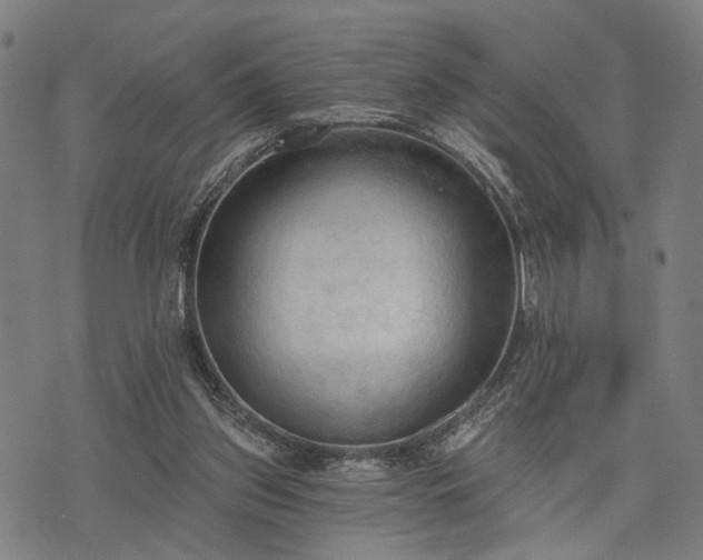 X0000074300157200609011456