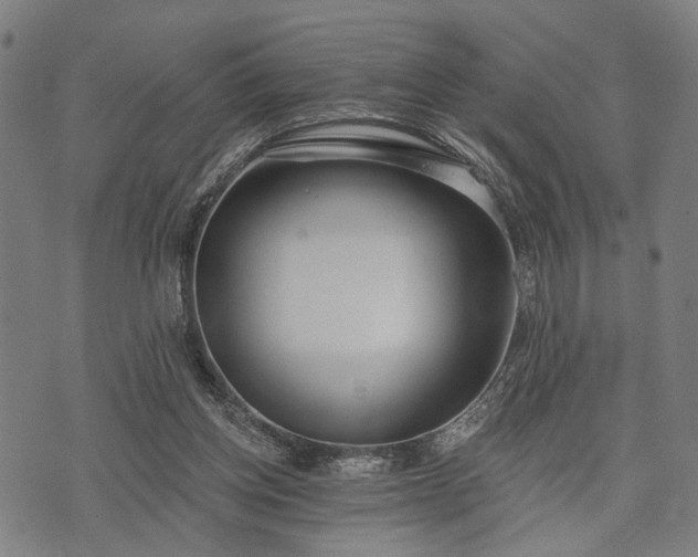 X0000074300158200609011456