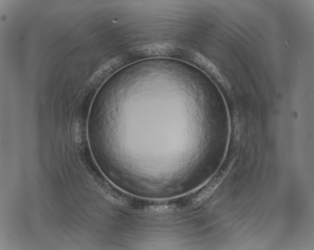 X0000074300161200609011456