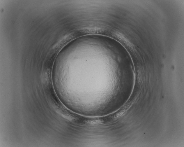X0000074300165200609011456
