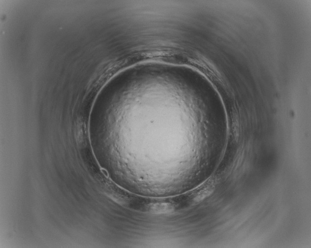 X0000074300169200609011456