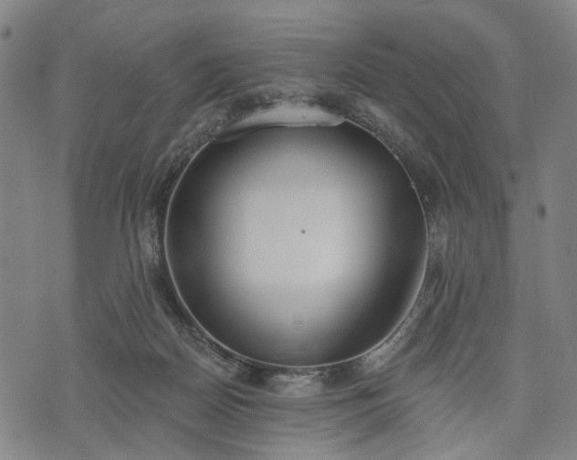 X0000074300170200609011456