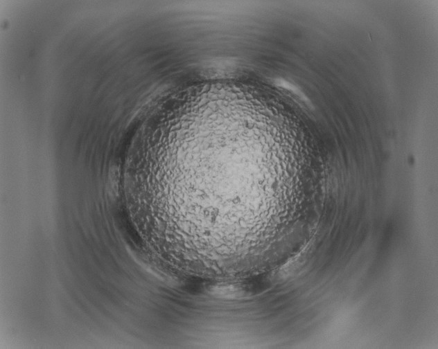 X0000074300171200609011456
