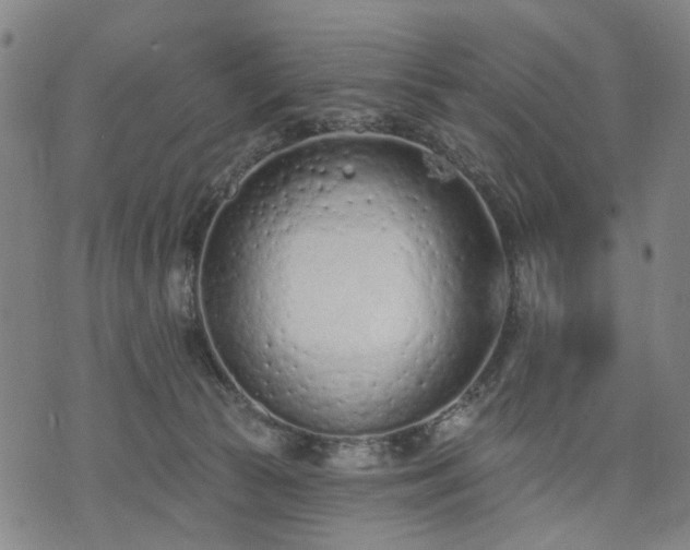 X0000074300177200609011456