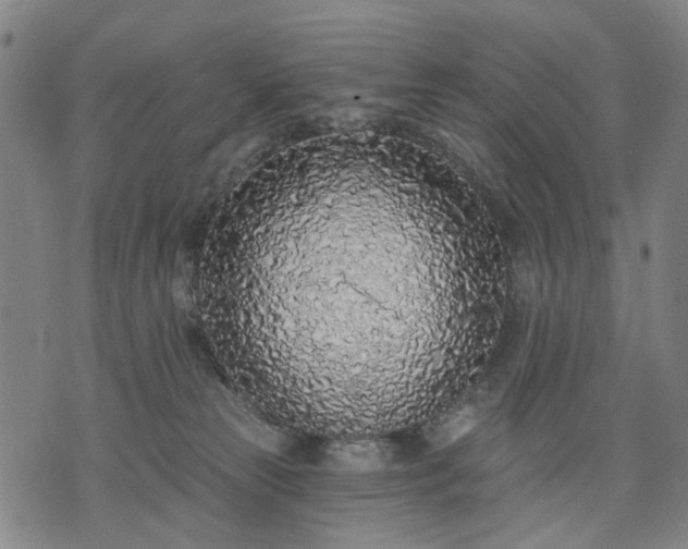 X0000074300181200609011456